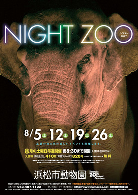 17NightZoo.jpg