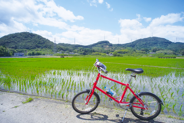 cycling1.jpg