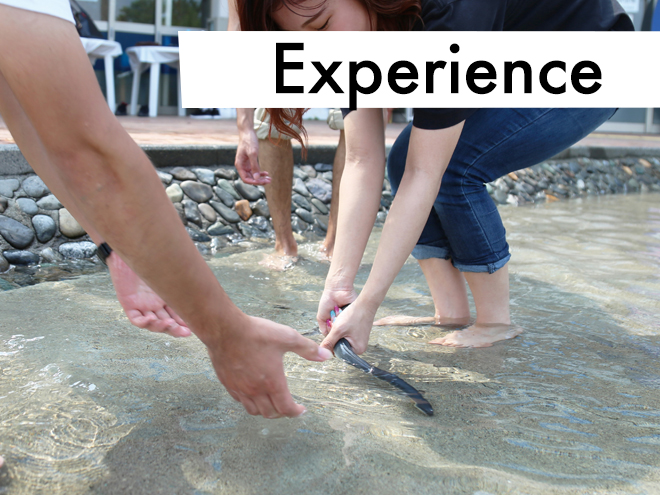 eel catching