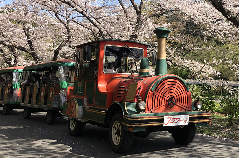 Flower train