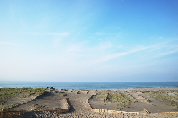 中田島