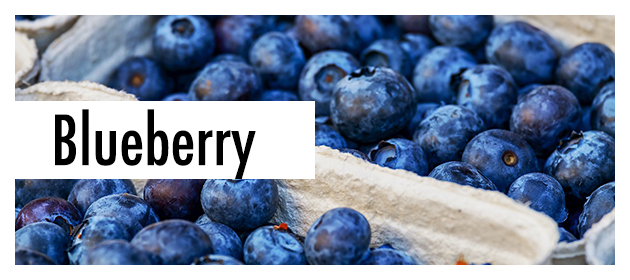 Blueberry picking