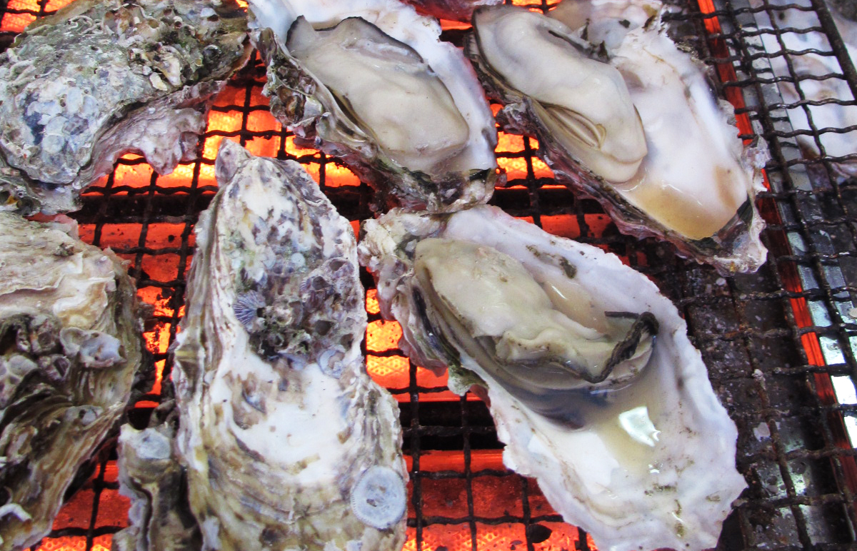 hamanako oyster.jpg
